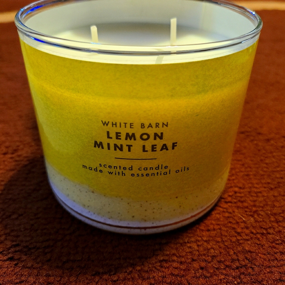 Lemon Mint Leaf (3 Wick Candle)